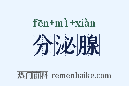 分泌腺是什么意思的图片